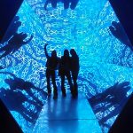 WHO WE ARE